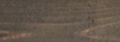 Staining and Sealing service in the Nashville, TN area
