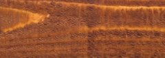 Staining and Sealing service in the Nashville, TN area