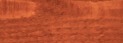 Staining and Sealing service in the Nashville, TN area